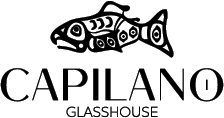 CAPILANO ESTUDIO